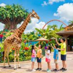 Family Vacation Guide: A Complete 4-Day Itinerary for Disney World, Orlando